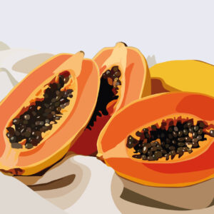 ILONA - Papier peint panoramique papaye géante