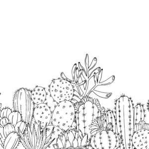 LUCAS - Papier peint panoramique cactus noir et blanc