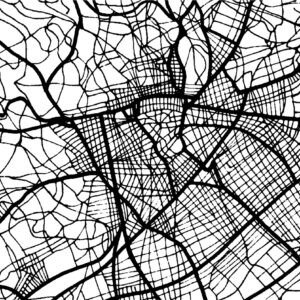 NEMAUSUS - Papier peint panoramique ville Nimes carte