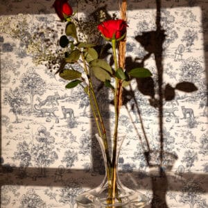 VICTOR - Papier peint jungle monochrome jaguar noir et blanc toile de jouy chambre