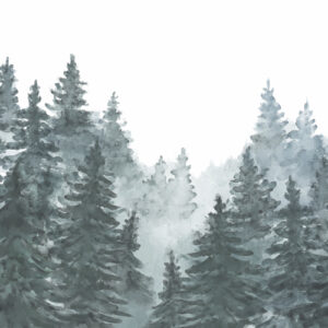 EVAN - Papier peint panoramique foret