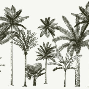 MAHAUT - Papier peint palmier noir et blanc