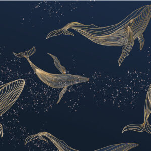 MATHÉO - papier peint panoramique baleine