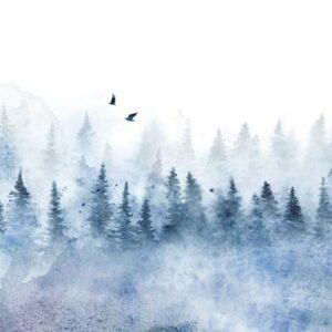 ADELAÏDE - papier peint foret brumeuse