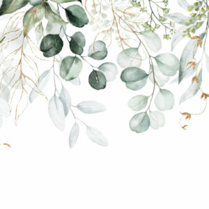 PATRICIA - papier peint panoramique feuille d'eucalyptus