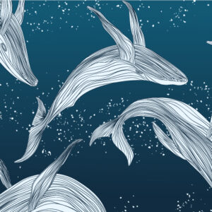 ROLAND - papier peint baleine panoramique