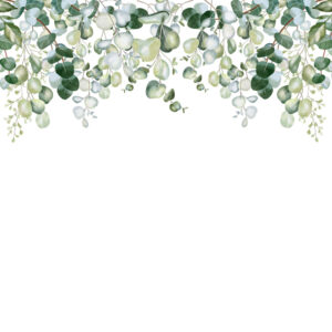 LOLITA - Papier peint eucalyptus