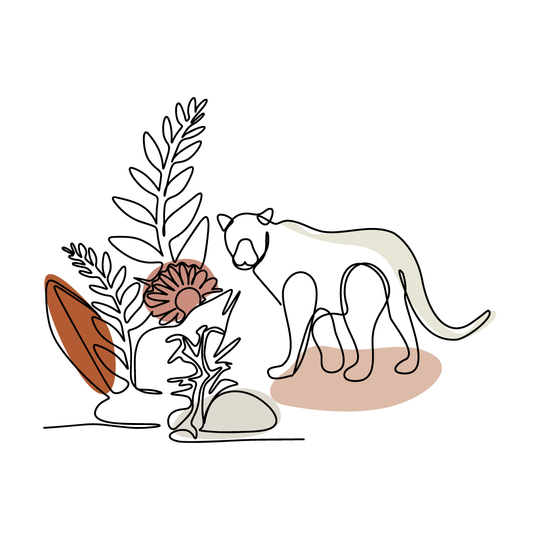 Papier peint Toile de Jouy