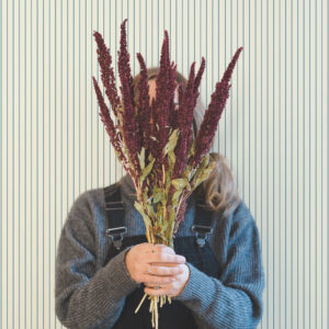 PHILEMON - Papier peint rayures très fines bleues magasin